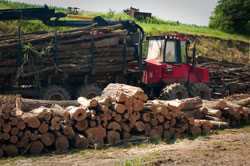 General Information Robinia Timber Importers, Stockists, Robinia Suppliers Posts Boards Decking Shingles Shakes. UK Manufactured Hardwood Play Equipment