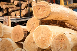 General Information Robinia Timber Importers, Stockists, Robinia Suppliers Posts Boards Decking Shingles Shakes. UK Manufactured Hardwood Play Equipment