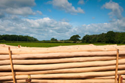 FSC Robinia Timber FAQ's Robinia Timber Importers, Stockists Robinia Suppliers Posts Boards Decking Shingles Shakes. UK Manufactured Hardwood Play Equipment