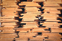 FSC Robinia Timber FAQ's Robinia Timber Importers, Stockists Robinia Suppliers Posts Boards Decking Shingles Shakes. UK Manufactured Hardwood Play Equipment