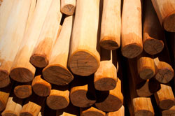 FSC Robinia Timber FAQ's Robinia Timber Importers, Stockists Robinia Suppliers Posts Boards Decking Shingles Shakes. UK Manufactured Hardwood Play Equipment